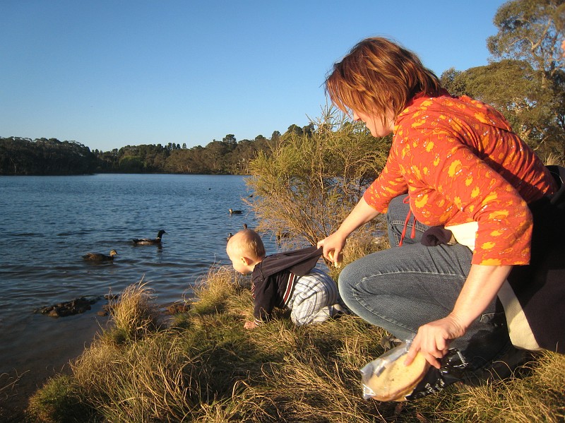2009-11-06 22-05-54_1.jpg - Enten füttern am "Wentworth Falls Lake", Julian möchte "mitschwimmen"...